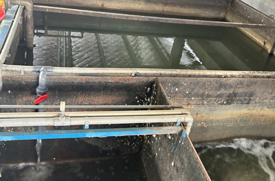 21ec90c16d25934bf191f38c6bbce054.jpg 21ec90c16d25934bf191f38c6bbce054.jpg